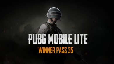 Photo of PUBG Mobile Lite Season 35 Winner Pass Release date, leaks Revealed